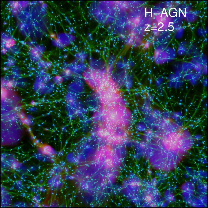 Horizon-AGN at z=2.5