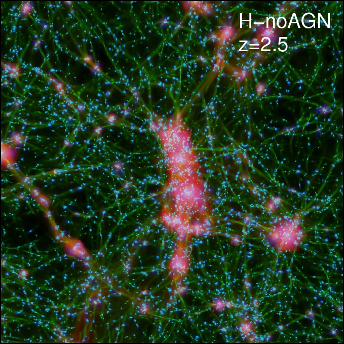 Horizon-noAGN at z=2.5